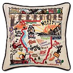 Illinois State Pillow<br> by catstudio